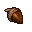 Acorn