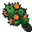 Blooming Cactus