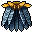 Calopteryx Cape