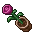 Potted Flower