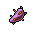 Prickly Pear