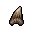 Quara Bone
