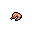 Shrimp