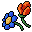 Wild Flowers