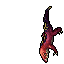 Adult Goanna