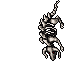 Bonebeast
