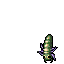 Brain Parasite