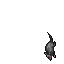 Cave Rat