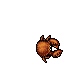 Crab