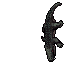 Killer Caiman