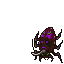 Lancer Beetle