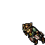 Pirate Buccaneer