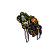 Pirate Corsair