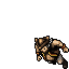 Pirate Cutthroat