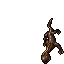 Salamander