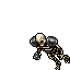 Skeleton Warrior