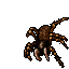 Tarantula