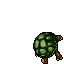 Tortoise