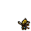 Wasp
