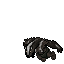 Werebadger