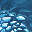 Ice Wave